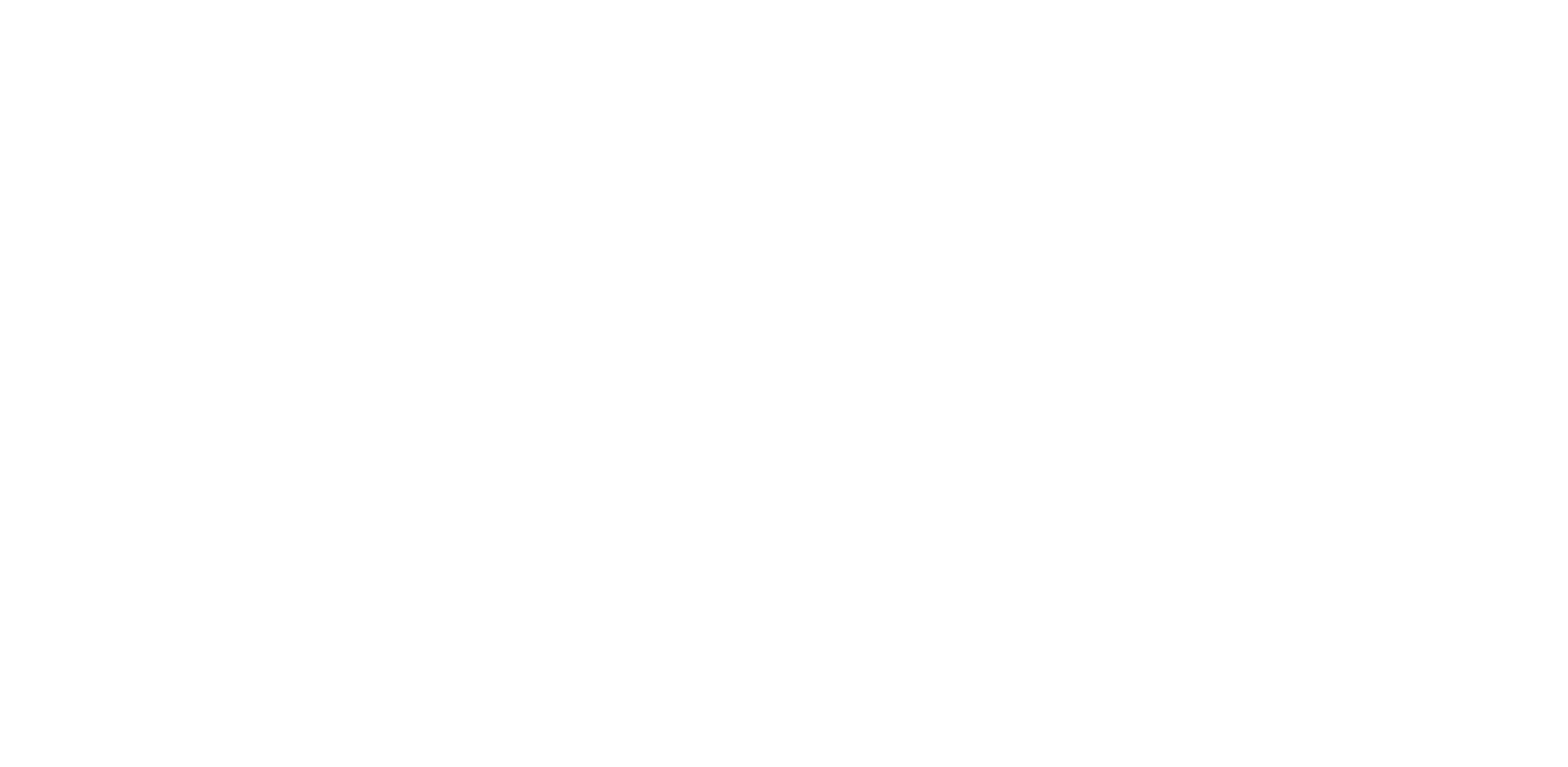 BROOKLYN BEST